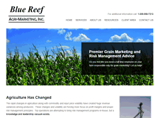 Tablet Screenshot of bluereefinc.com